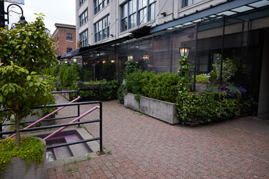 Yaletown-20240617-0147.jpg