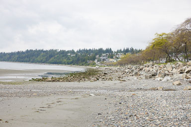 Whiterock-Beach-20240617-0001.jpg