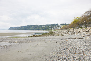 Whiterock-Beach-20240617-0002.jpg