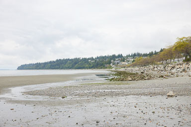 Whiterock-Beach-20240617-0003.jpg