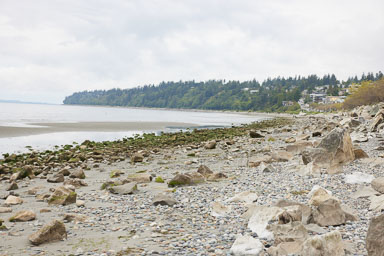 Whiterock-Beach-20240617-0005.jpg