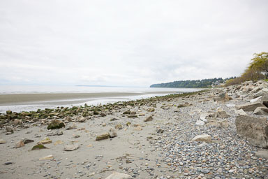 Whiterock-Beach-20240617-0006.jpg