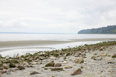 Whiterock-Beach-20240617-0007.jpg