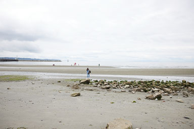 Whiterock-Beach-20240617-0009.jpg