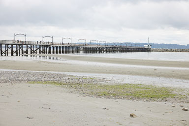 Whiterock-Beach-20240617-0010.jpg