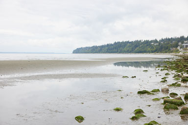 Whiterock-Beach-20240617-0012.jpg