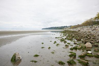 Whiterock-Beach-20240617-0013.jpg