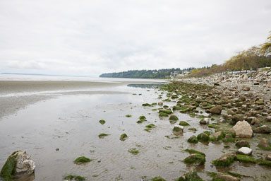 Whiterock-Beach-20240617-0014.jpg