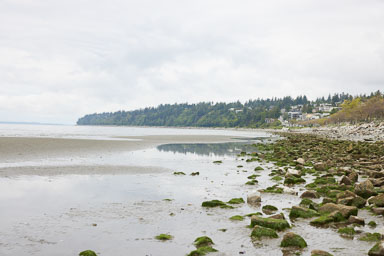 Whiterock-Beach-20240617-0015.jpg