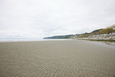 Whiterock-Beach-20240617-0018.jpg