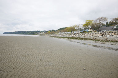 Whiterock-Beach-20240617-0019.jpg
