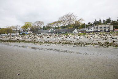 Whiterock-Beach-20240617-0020.jpg