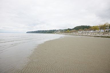 Whiterock-Beach-20240617-0026.jpg