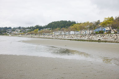 Whiterock-Beach-20240617-0032.jpg