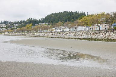 Whiterock-Beach-20240617-0033.jpg
