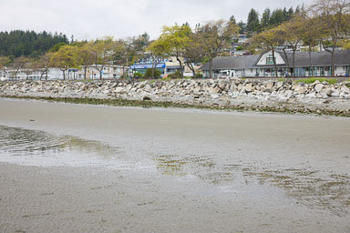 Whiterock-Beach-20240617-0035.jpg