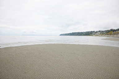 Whiterock-Beach-20240617-0036.jpg