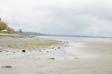 Whiterock-Beach-20240617-0054.jpg