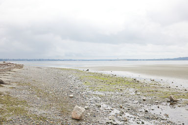 Whiterock-Beach-20240617-0057.jpg