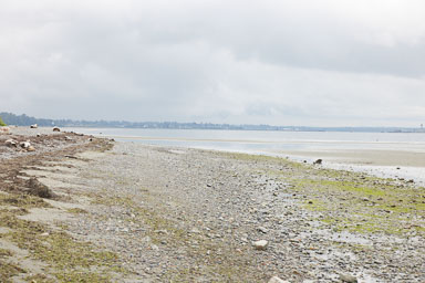 Whiterock-Beach-20240617-0059.jpg
