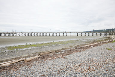 Whiterock-Beach-20240617-0060.jpg