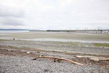 Whiterock-Beach-20240617-0062.jpg