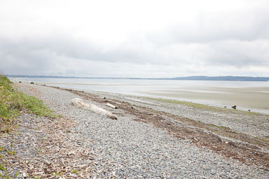 Whiterock-Beach-20240617-0065.jpg