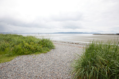 Whiterock-Beach-20240617-0067.jpg