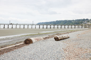 Whiterock-Beach-20240617-0071.jpg