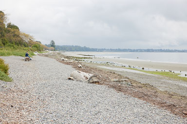 Whiterock-Beach-20240617-0074.jpg