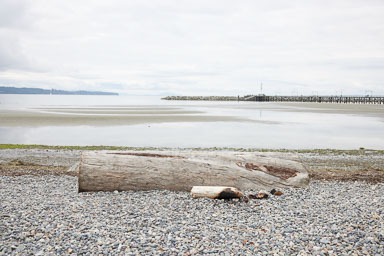 Whiterock-Beach-20240617-0075.jpg