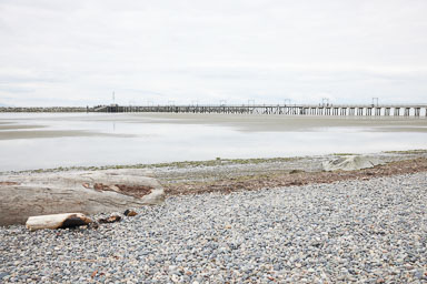 Whiterock-Beach-20240617-0076.jpg