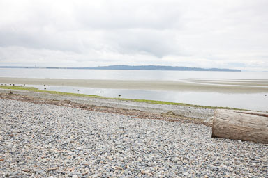 Whiterock-Beach-20240617-0077.jpg