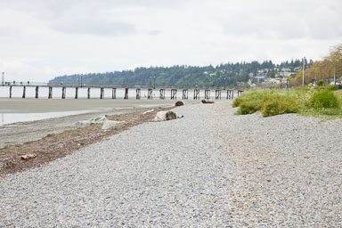 Whiterock-Beach-20240617-0080.jpg