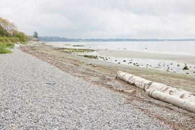 Whiterock-Beach-20240617-0085.jpg