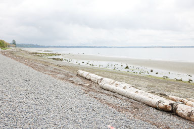 Whiterock-Beach-20240617-0086.jpg
