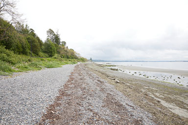Whiterock-Beach-20240617-0087.jpg