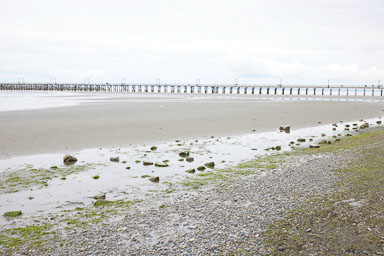 Whiterock-Beach-20240617-0092.jpg