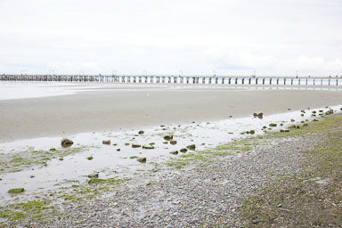 Whiterock-Beach-20240617-0093.jpg