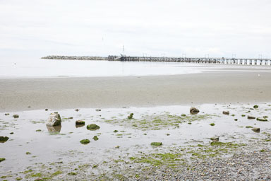 Whiterock-Beach-20240617-0094.jpg