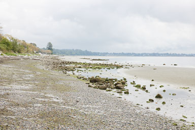 Whiterock-Beach-20240617-0096.jpg