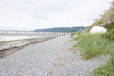 Whiterock-Beach-20240617-0097.jpg