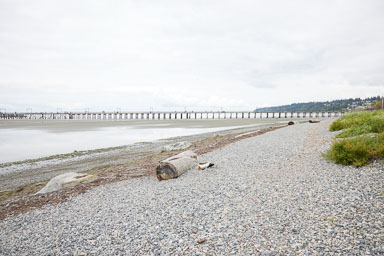 Whiterock-Beach-20240617-0099.jpg