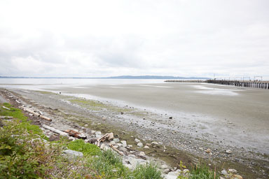Whiterock-Beach-20240617-0102.jpg
